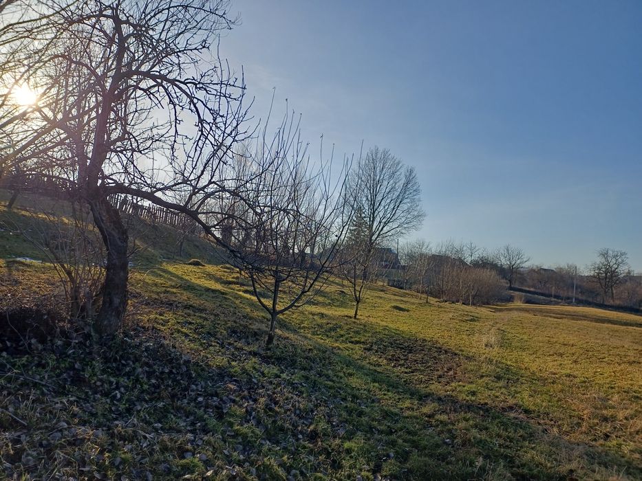 Proprietate 7400 mp, Mazanaesti(Suceava),casă renovata partial