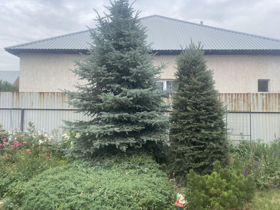 Шикарный дом в бурундае