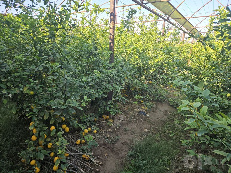 Помещение сдаётся в аренду