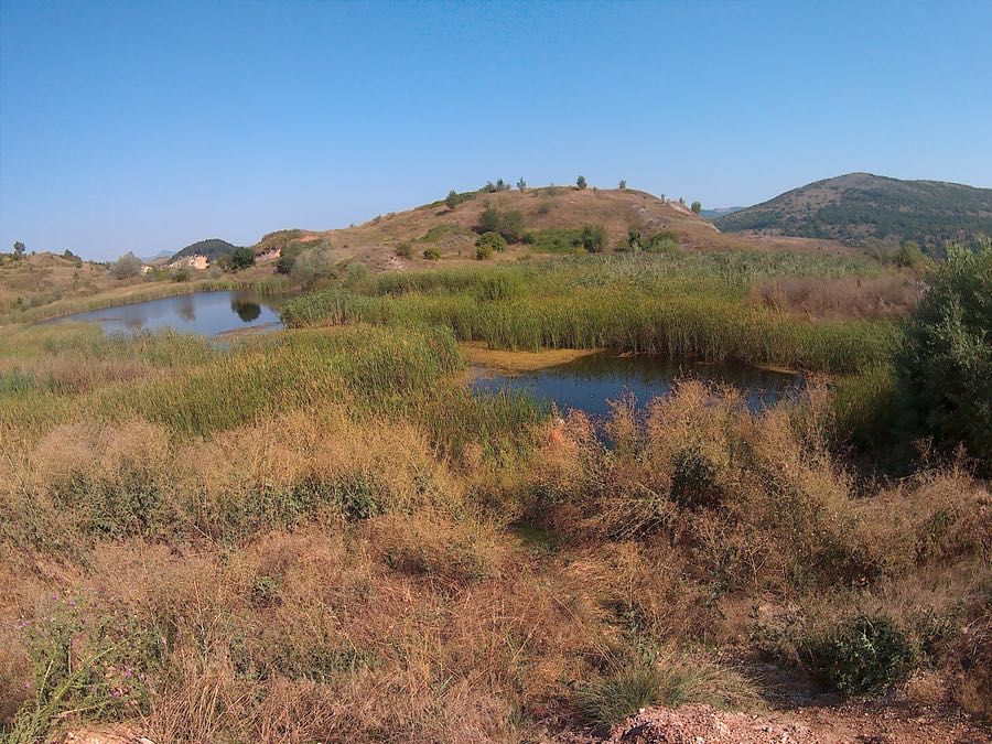 Продавам парцел във вилна зона с.Цацаровци