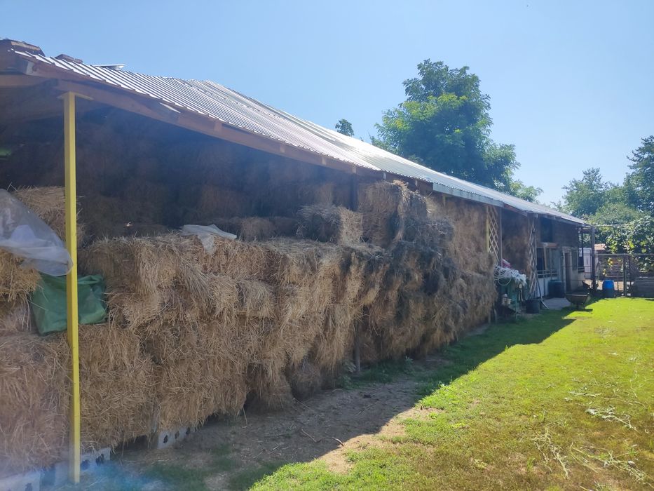 Baloți lucerna dreptunghiulari