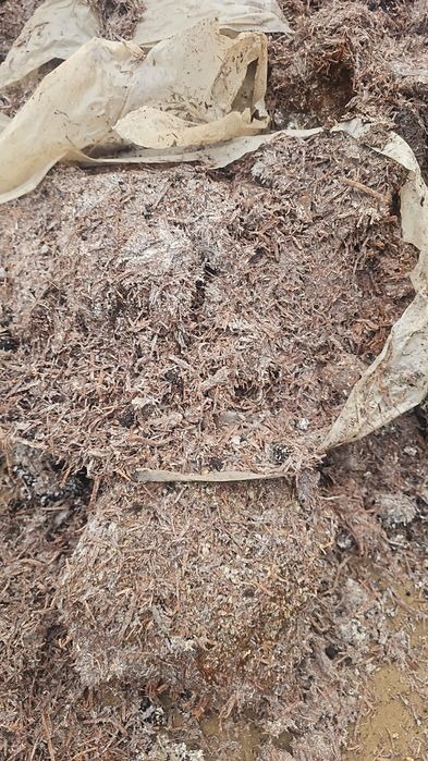 Продам грибной компост