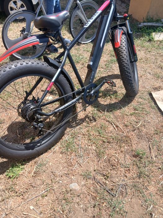 Bicicleta Electrica