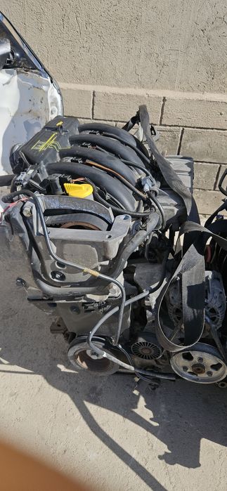 Рено маторы из европы