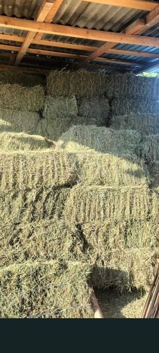 Vand baloți  de fan cu lucernă