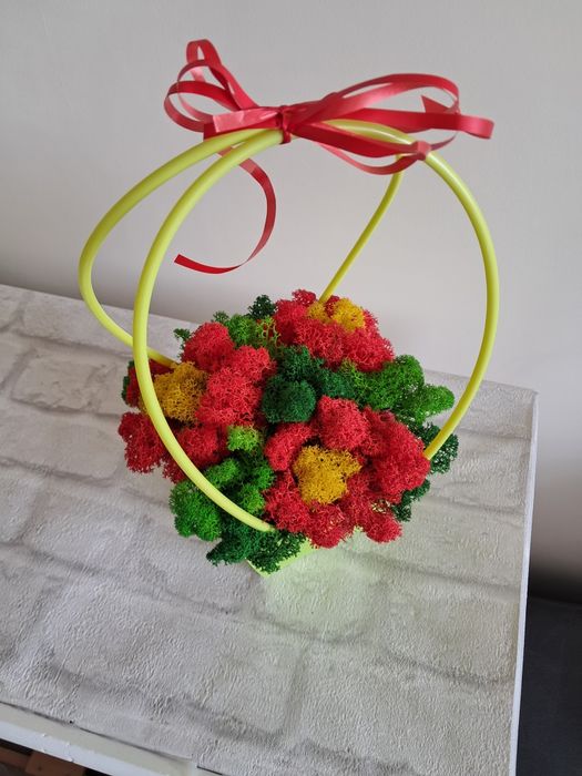 Кошнички със скандинавски мъх