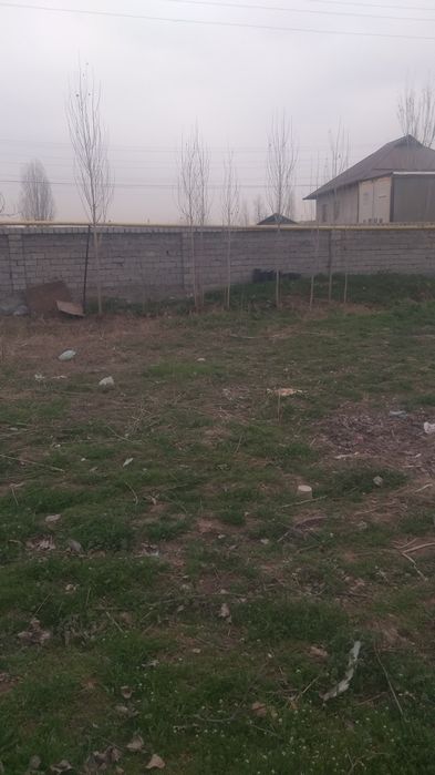 Yangihayot tumani Binokor maxalasida 5 sotik er sotiladii