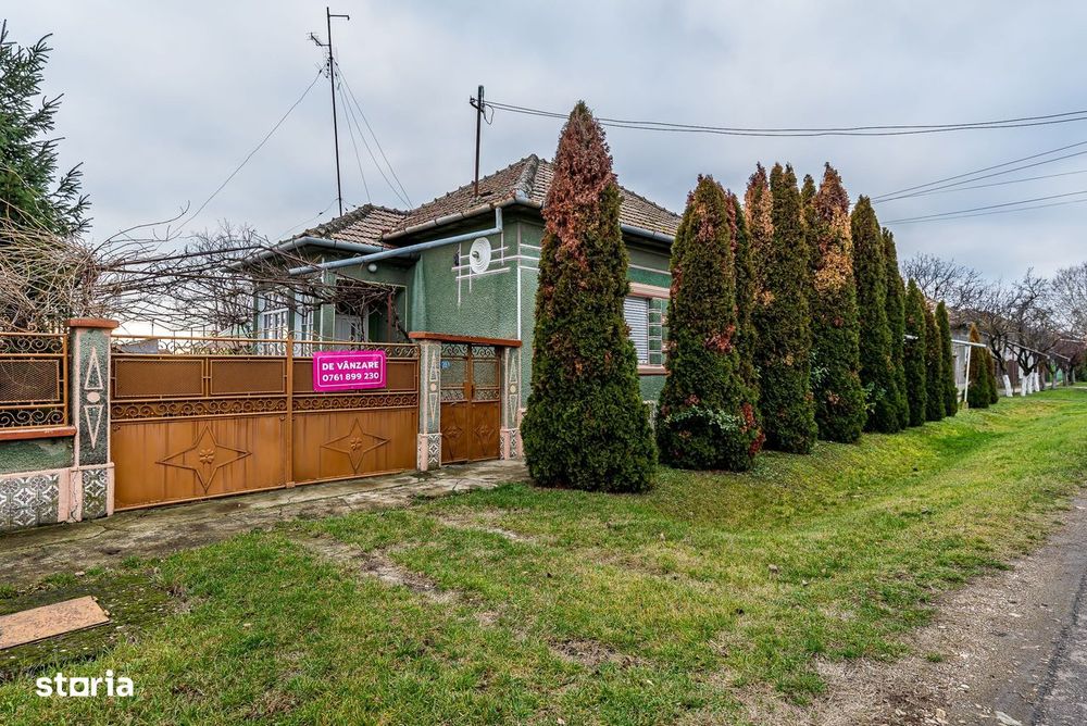 Casă + livadă tânără + curte 2.500 mp în Dorobanți