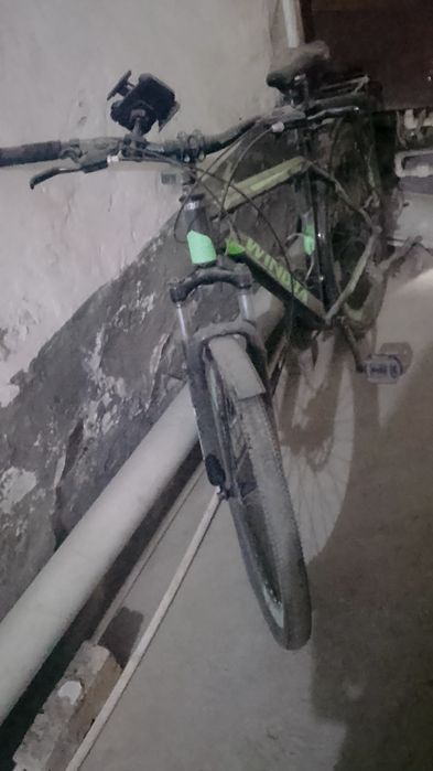 Velosiped holadi yaxshi