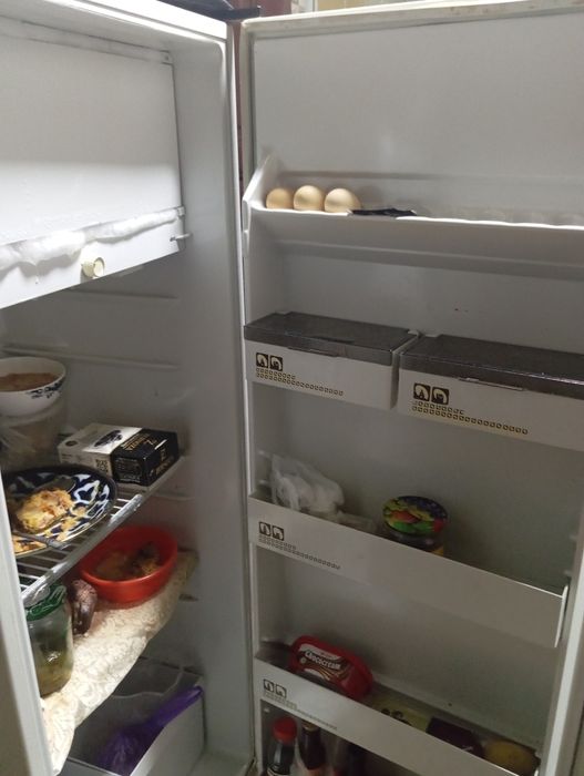 Музлатгич Россия