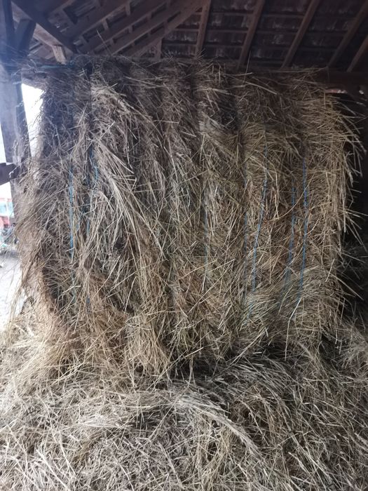 Baloti de fan și paie