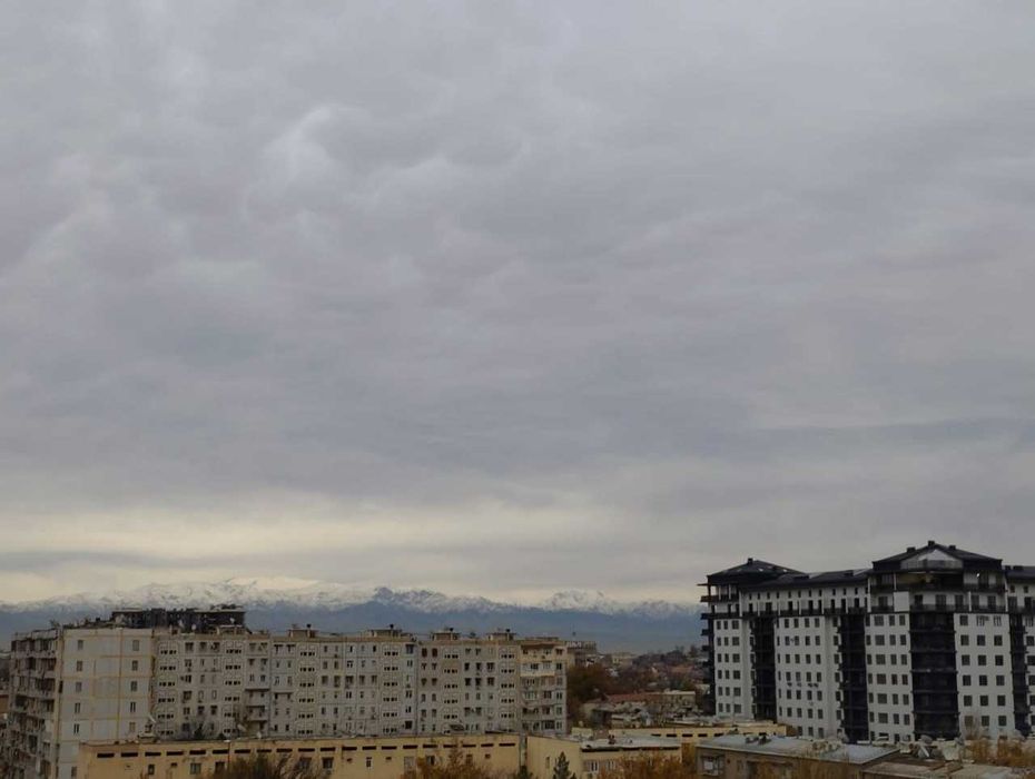 Новая квартира в новостройке Буз базар