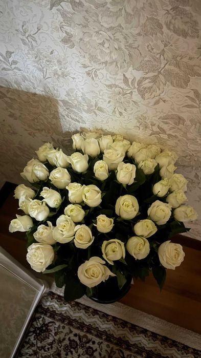 букет из белых роз 51штук