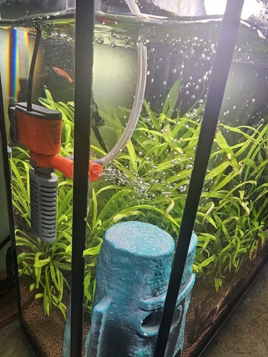 Продам запущенный аквариум