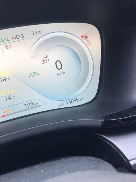 Byd champion gibrit 150km