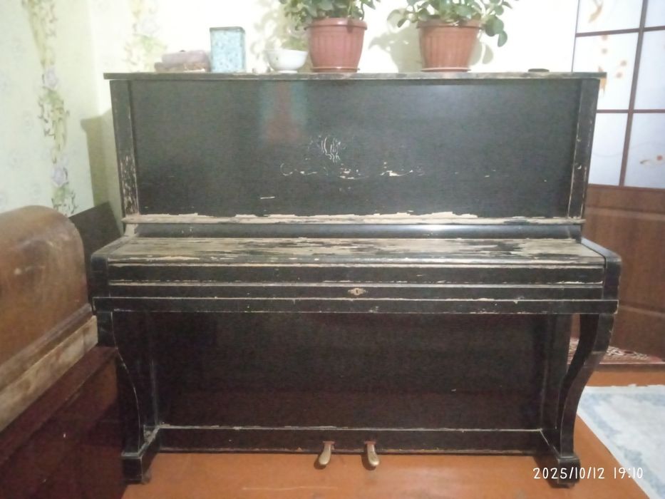 Пионино мощний рабочая