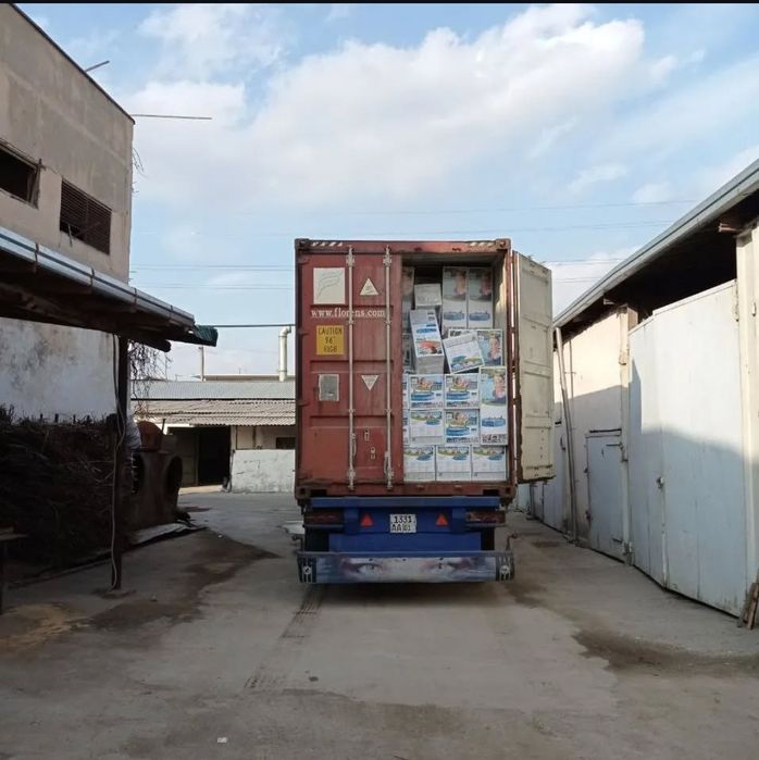 Bassen intex optim narxlarda