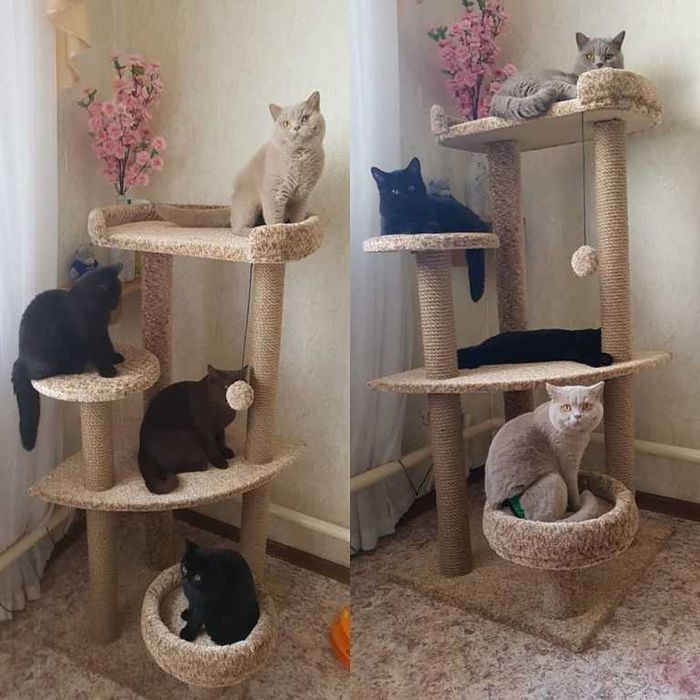 Домик для кошки.