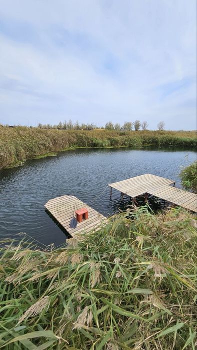 Коттедж посуточно