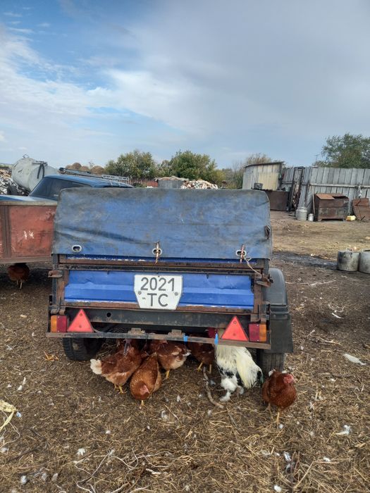 Продам автомобильный прицеп