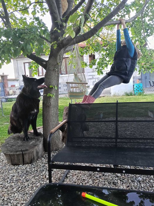 Подарявам кученца
