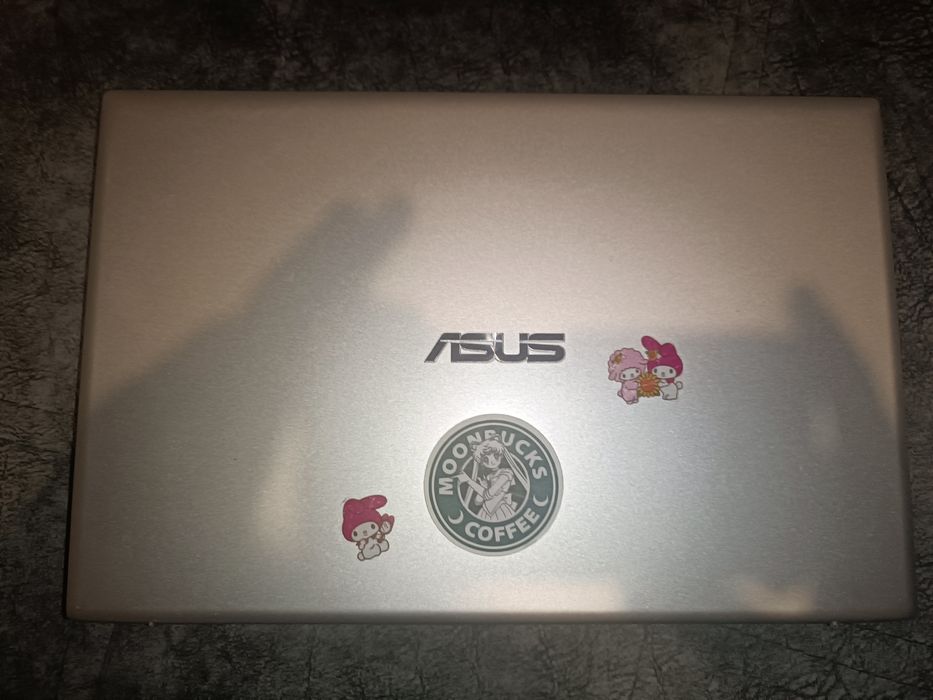 Asus VivoBook 14 (Ryzen 5 / 8GB / SSD)