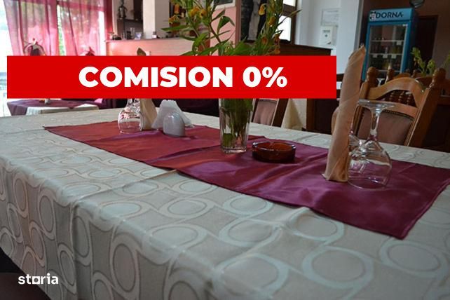 Investitie in turism, Pensiune 14 camere Valiug