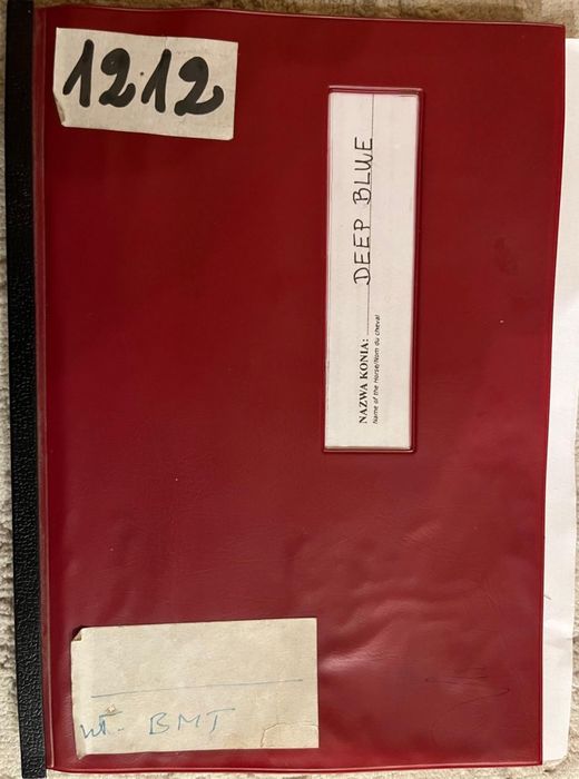 Кобылa Чистокровная английская