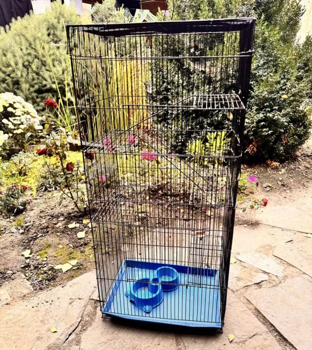 Продам метровую клетку