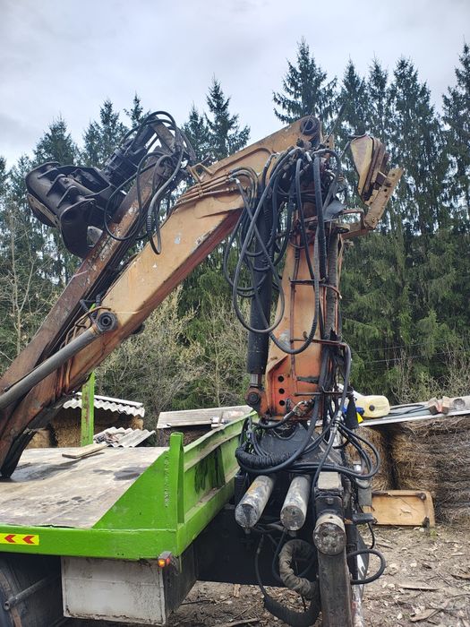 Man 1 360  forestier