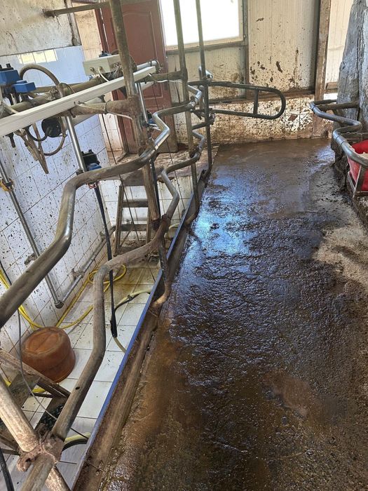 Sala de muls Polanes