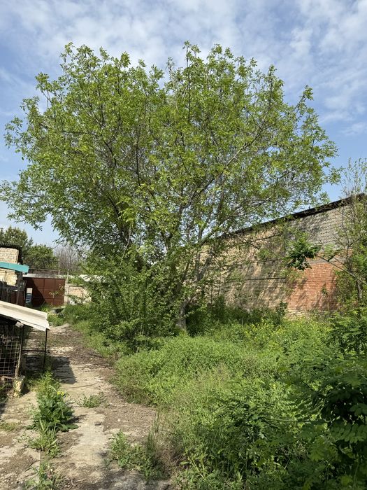 Мевазорда(Охунбобоев, Стармед) 6 сотка ер сотилади