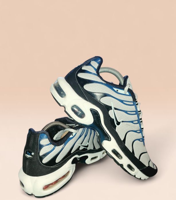 Nike Air Max TN размер 41

Ползвани,но в отлично състояние.
Цена 50€