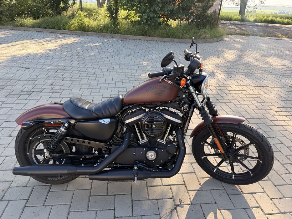 Harley Davidson Sportster 883 2017