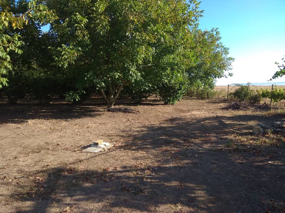 Продава се Земеделски имот в Шумен, Център -  кв.м за 3060 €/дка - Снимка #12