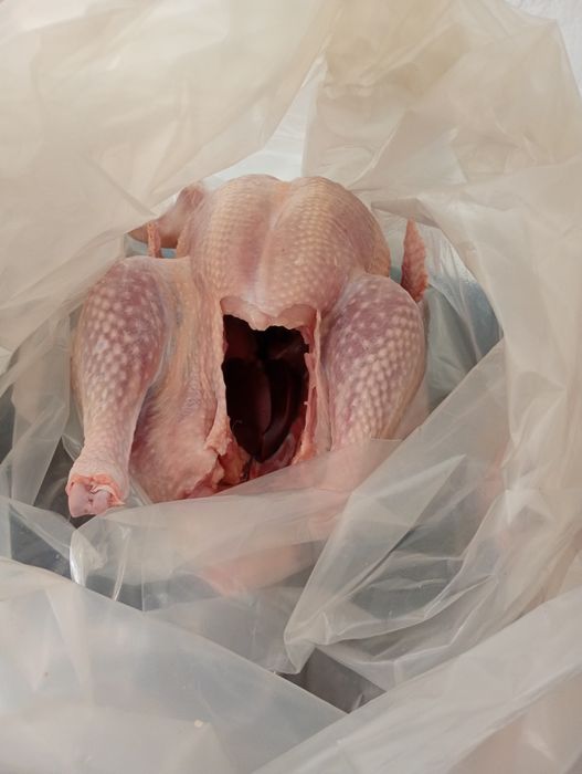 Curcani și curci crescuți bio carcasa 31 lei/kg