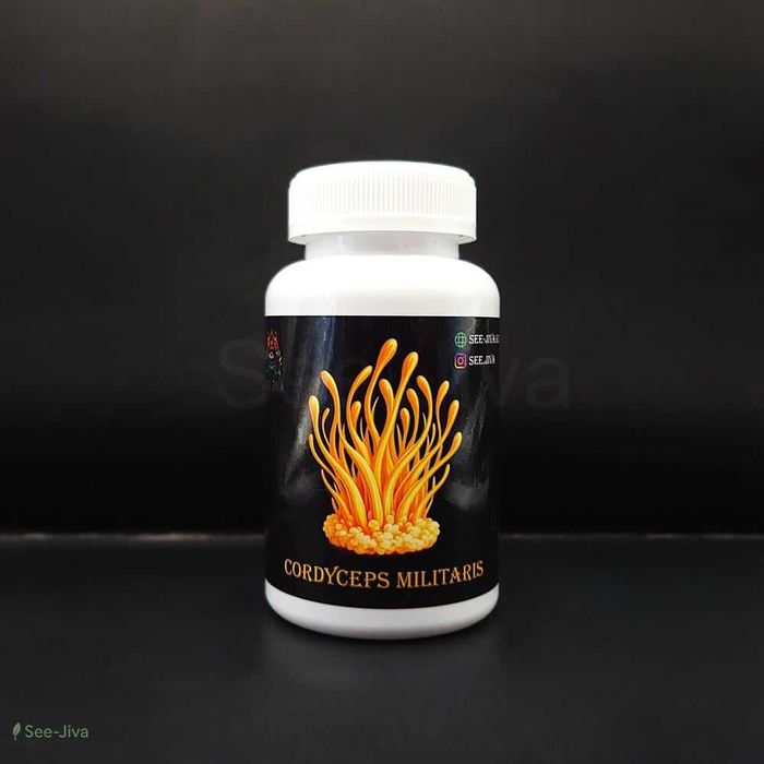 Кордицепс военный
