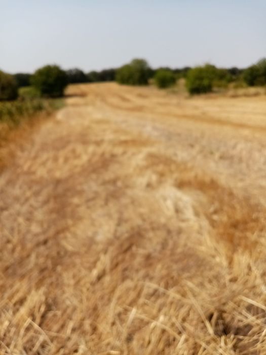 Vând Teren - Zona Giurgiu - Schitu