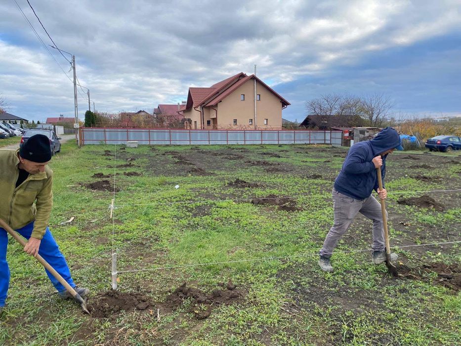 Plantăm livezi, curatare, stropiri!