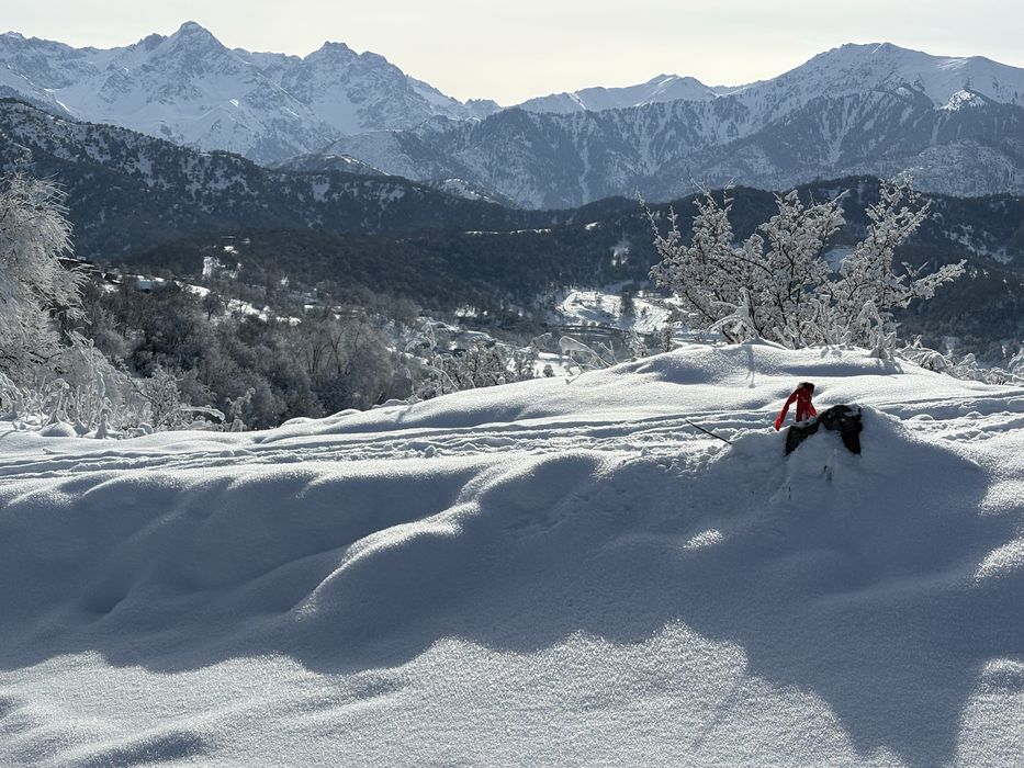 Панорамный участок