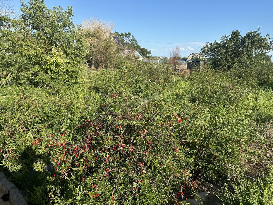 Продается дача на 1 водоколонке