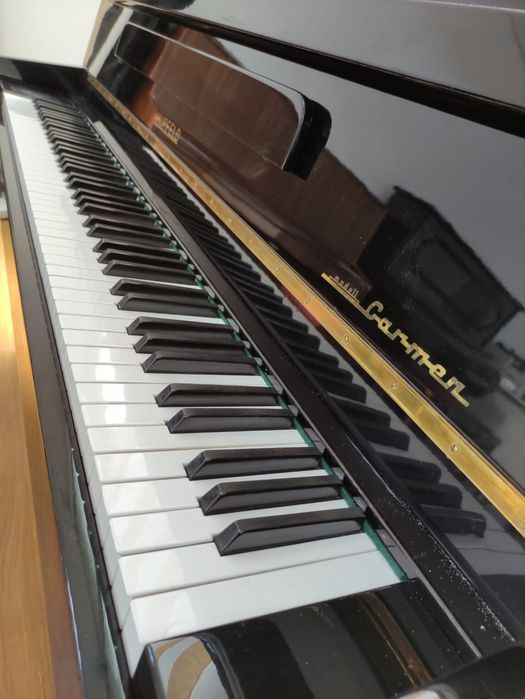 Piane & pianine, pe alb sau pe negru (transport gratuit, garanție)