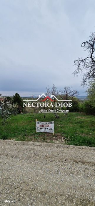 NECTORA IMOB-Teren Zona Podgoria,3400 mp (Intravilan + Extravilan)