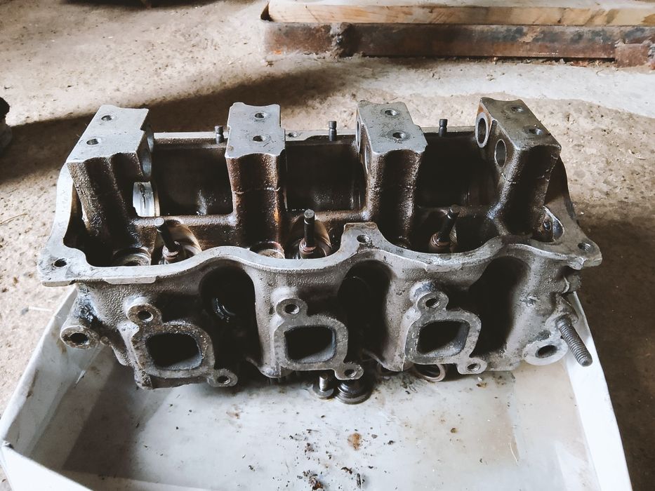 Галовка тико.         .