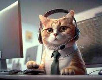 Windows.+Программы Установка и полная настройка. Срочный выезд!