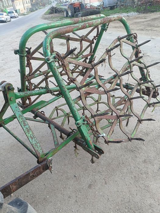 Grape cu colți în stare bună