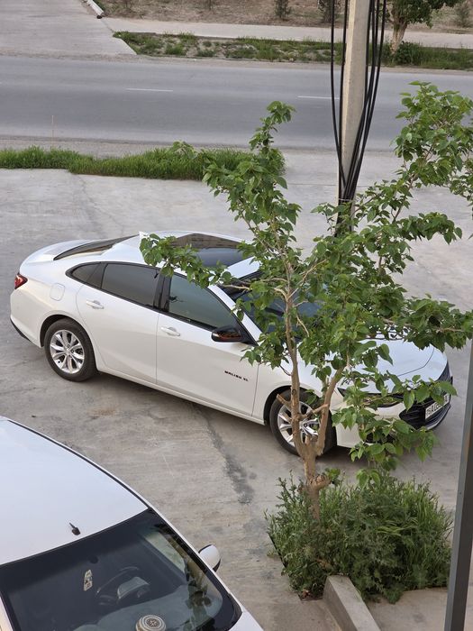 Малибу 2 ок ранг