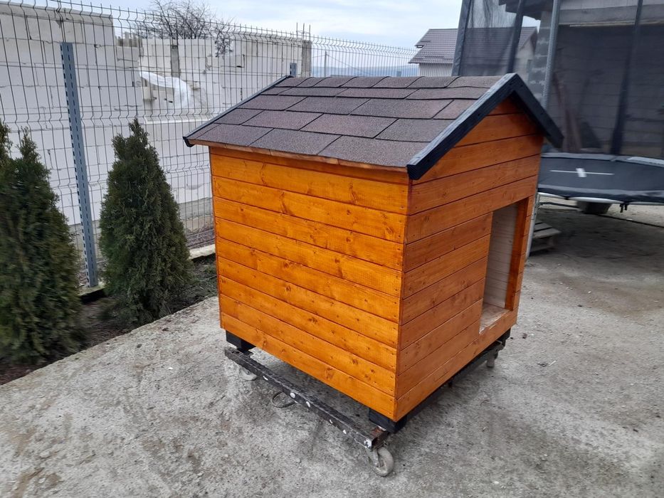 Cusca de câine izolată