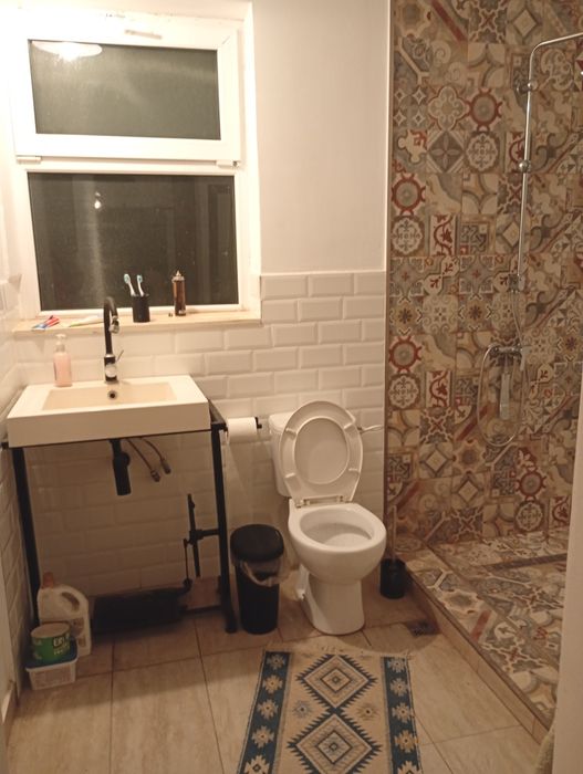 Domeniu cu două case și curte de 2,4 hectare  intravilan.