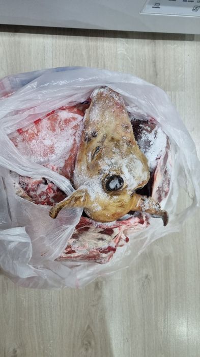 Баранина мясо койдын ети